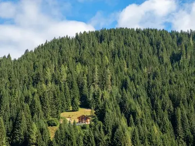 Ferienhaus für 6 Personen (100 m²) in San Pietro di Cadore 8/10