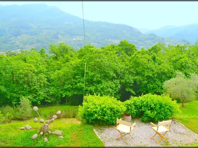 GardenSummer