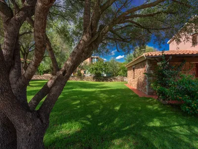 Ferienhaus für 6 Personen (38 m²) in San Teodoro 1/10