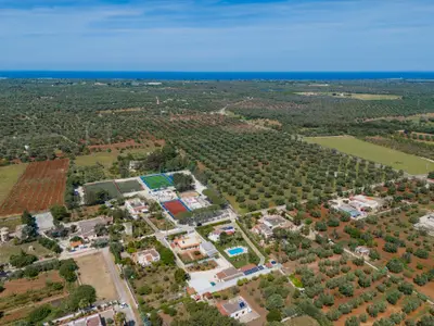 Ferienhaus für 6 Personen (70 m²) in San Vito Dei Normanni 2/10