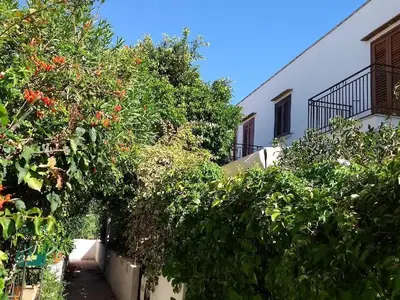 Einfahrt zum Haus 