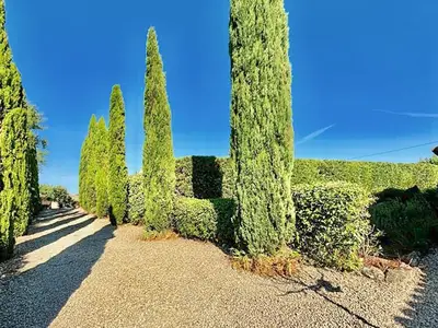 outside