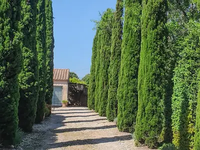 outside
