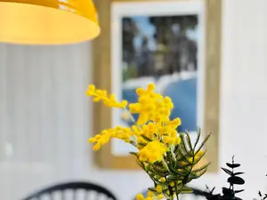 Ferienhaus für 6 Personen (64 m²) in Sankt Andreasberg