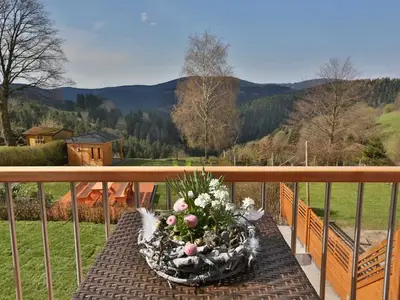 Ferienhaus für 6 Personen (85 m²) in Sankt Andreasberg 9/10