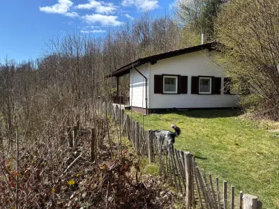 Ferienhaus für 6 Personen (68 m²) in Sankt Andreasberg 1/10