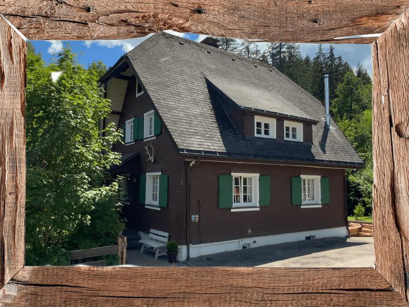 19246093-Ferienhaus-6-Sankt Blasien-800x600-0