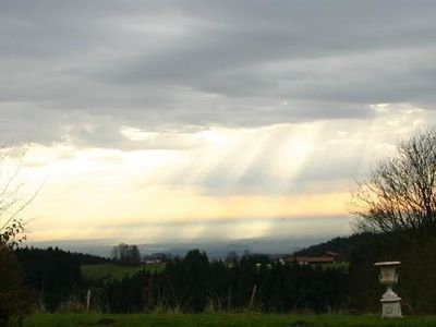 Herbstlicher Ausblick von der Terrasse auf die Donauebene u. das Alpenvorland.