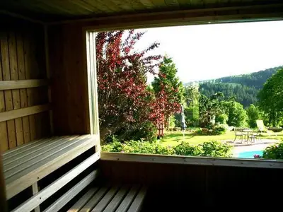 Blick aus der Sauna zum Pool