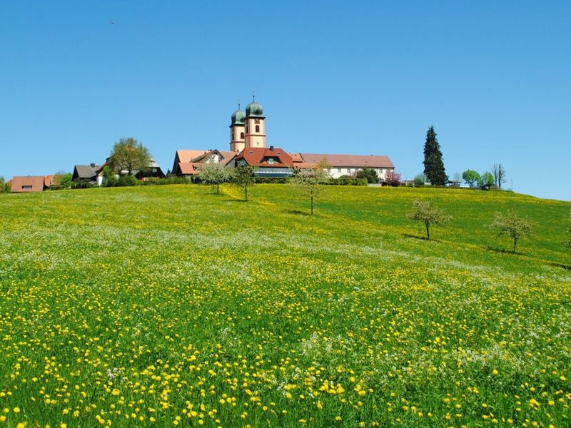 23975152-Ferienhaus-4-Sankt Märgen-800x600-1