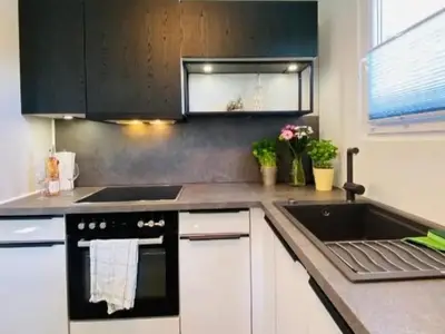 Ferienhaus für 3 Personen (47 m²) in Sankt Martin am Grimming 9/10