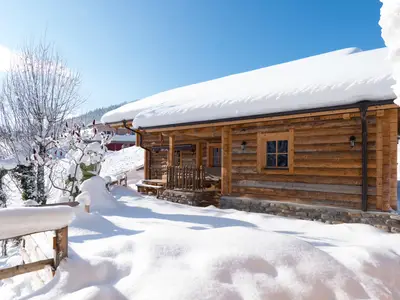 Ferienhaus für 8 Personen (140 m²) in Sankt Martin am Tennengebirge 6/10