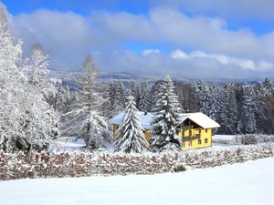 21994603-Ferienhaus-40-Sankt Oswald-Riedlhütte-300x225-1