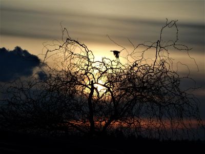 Herbstbild