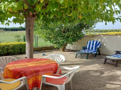 GardenSummer