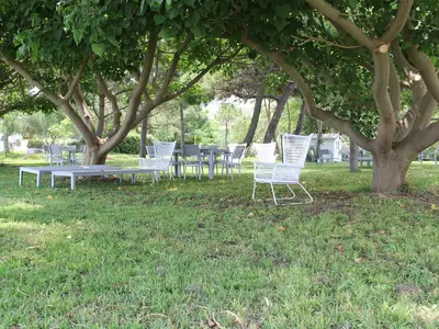 GardenSummer