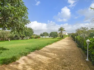 outside