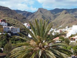 19161518-Ferienhaus-6-Santa Cruz de Tenerife-300x225-4