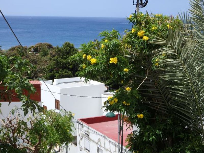 19161518-Ferienhaus-6-Santa Cruz de Tenerife-800x600-0