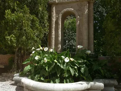 Garten. die alten Marmorbrunnen mit Calla Lilien und Seerosen geschmückt
