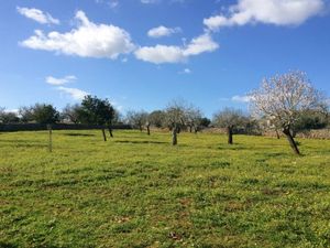 Ferienhaus für 5 Personen (120 m²) in Santa Margalida