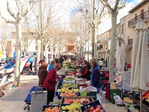 19365471-Ferienhaus-4-Santa Margalida-300x225-2