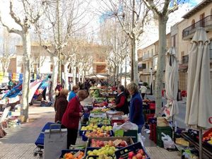 19365509-Ferienhaus-4-Santa Margalida-300x225-3