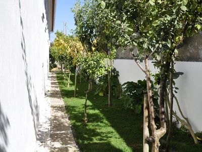 Außenansicht des Gebäudes. Garten mit Obstbäumen auf der anderen Seite des Hauses