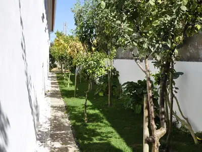 Außenansicht des Gebäudes. Garten mit Obstbäumen auf der anderen Seite des Hauses
