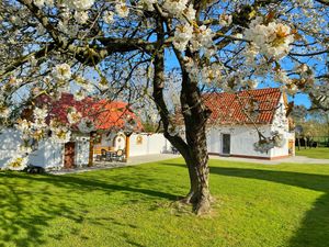 Ferienhaus für 4 Personen (70 m²) in Sassnitz