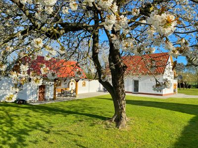 Ferienhaus für 4 Personen (70 m²) in Sassnitz 1/10