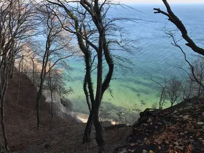 Ferienhaus für 3 Personen (47 m²) in Sassnitz 4/10