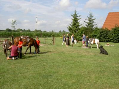 Ponys klar zum Ausritt