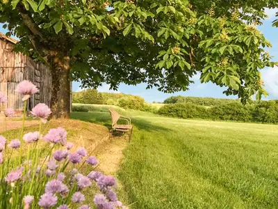 outside