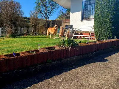 Ferienhaus für 4 Personen (70 m²) in Schalkenmehren 2/10