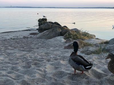 Ferienhaus für 5 Personen (40 m²) in Scharbeutz 2/10