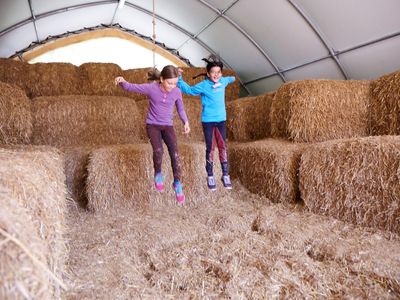 Ferienhaus für 4 Personen (70 m²) in Schashagen 9/10