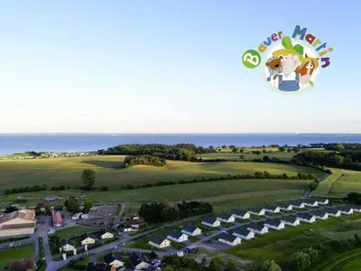 Ferienhaus für 4 Personen (70 m²) in Bliesdorf 9/10