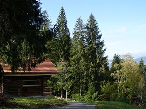 22270657-Ferienhaus-6-Schattenhalb-300x225-2