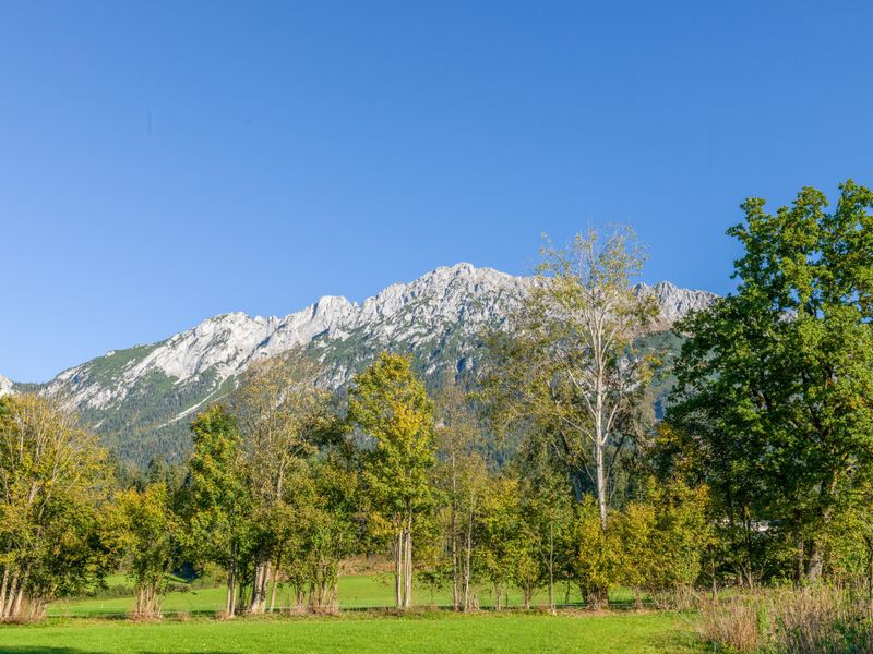 23896180-Ferienhaus-37-Scheffau am Wilden Kaiser-800x600-1