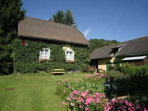 Ferienhaus für 5 Personen (100 m²) in Scheifling