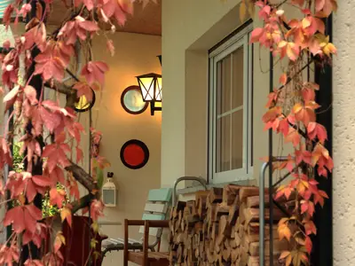 Ferienhaus für 4 Personen (50 m²) in Schenkendöbern 2/10