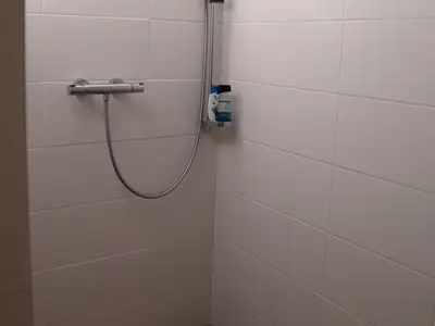 Ferienhaus für 4 Personen (50 m²) in Schenkendöbern 9/10