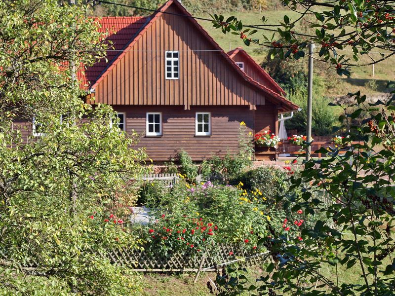 19171449-Ferienhaus-4-Schenkenzell-800x600-2