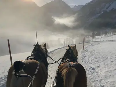 Ferienhaus für 6 Personen in Schladming 5/10