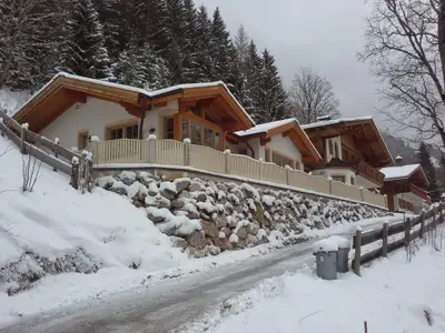 Alpenvilla-Janerweg-myNests-Winter-Schladming-Dach