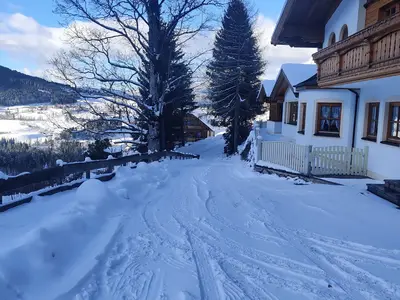 Alpenvilla-Janerweg-myNests-Winter-Schladming-Dach