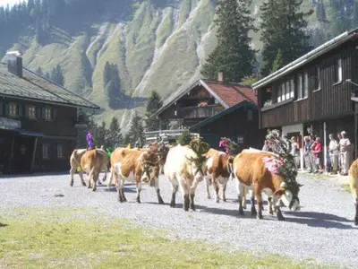 Ferienhaus für 6 Personen (30 m²) in Schliersee 3/10