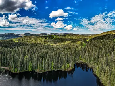 Ferienhaus für 10 Personen (160 m²) in Schluchsee 2/10