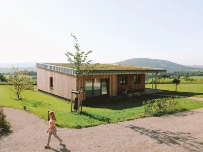 Ferienhaus für 6 Personen (110 m²) in Schmallenberg 2/10
